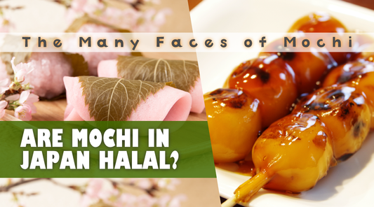 Are Mochi in Japan Halal?―All You Need to Know About Mochi